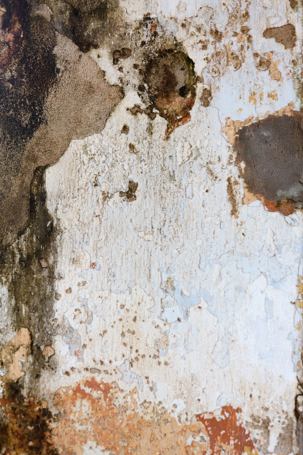 Visible discoloration and deteriorated wall finish